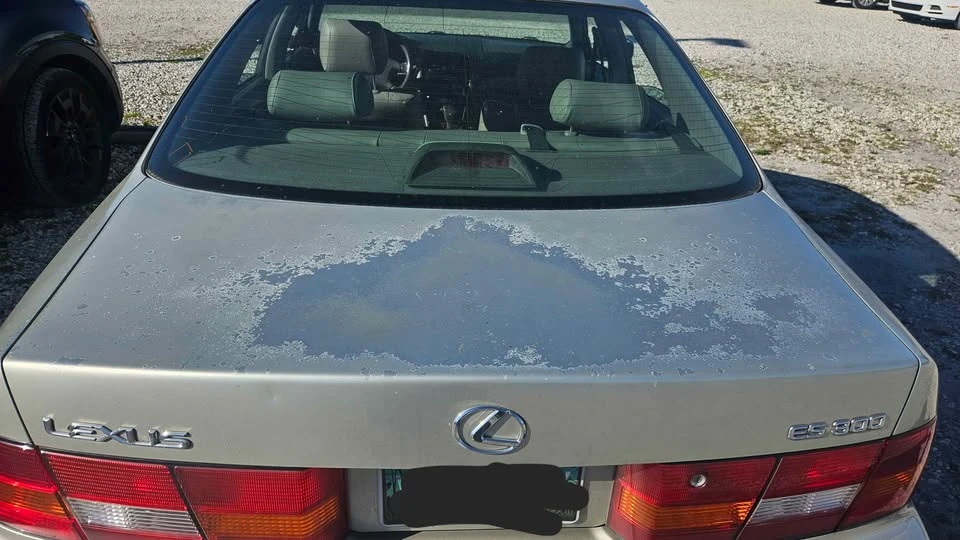 1997 Lexus ES 3rd Gen - Image 8 of 20