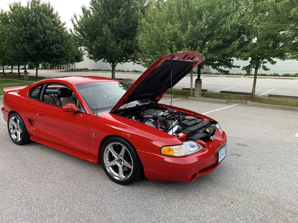 1997 Ford SN95 Mustang Cobra - Image 5 of 15