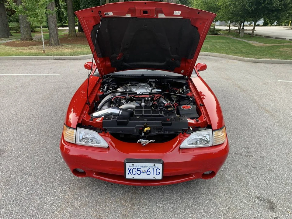 1997 Ford SN95 Mustang Cobra - Image 6 of 15