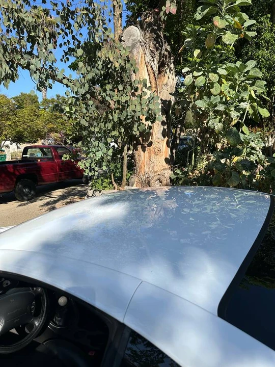 1997 Ford SN95 Mustang Cobra - Image 8 of 16
