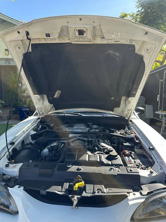 1997 Ford SN95 Mustang Cobra - Image 12 of 16