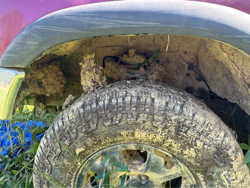 1997 Toyota 4Runner 3rd Gen - Image 4 of 10