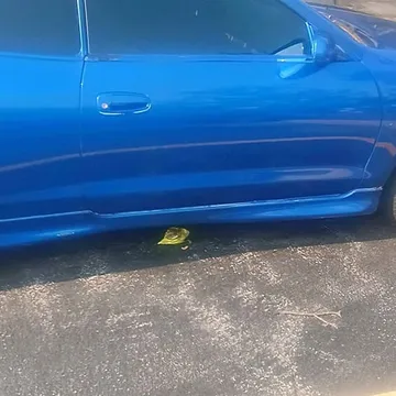 1997 Toyota Celica GT Hatchback Coupe 2D