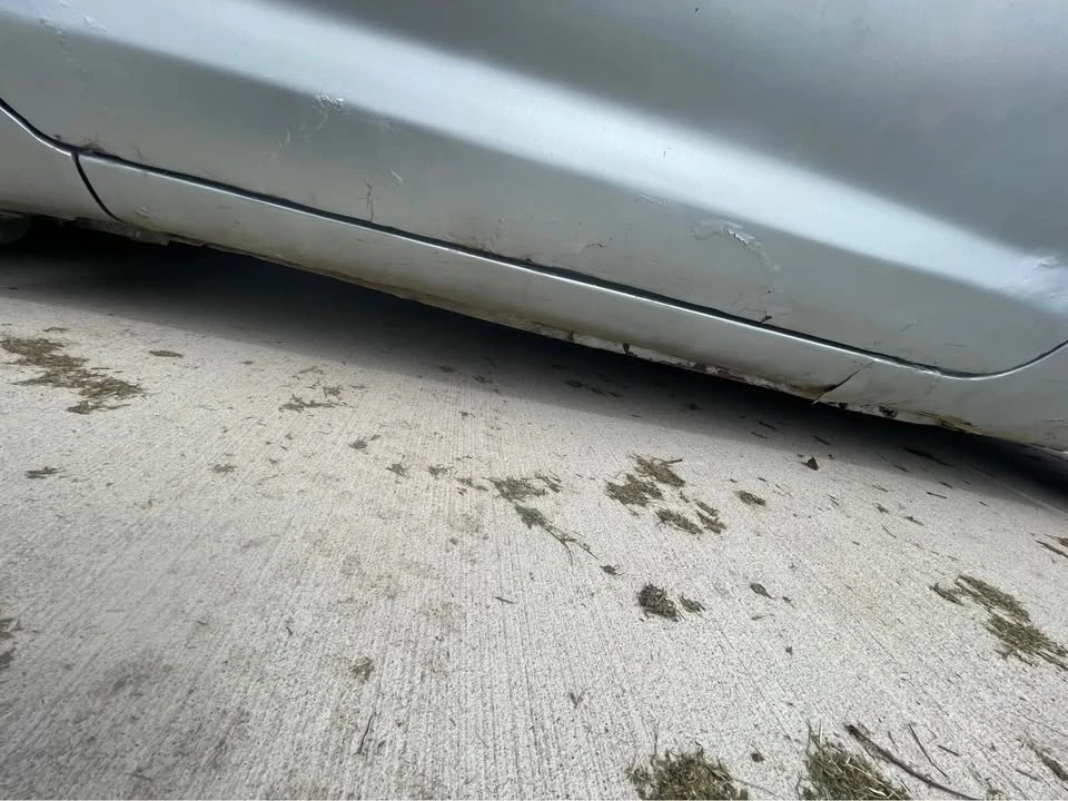1997 Toyota Celica 6th Gen - Image 11 of 20