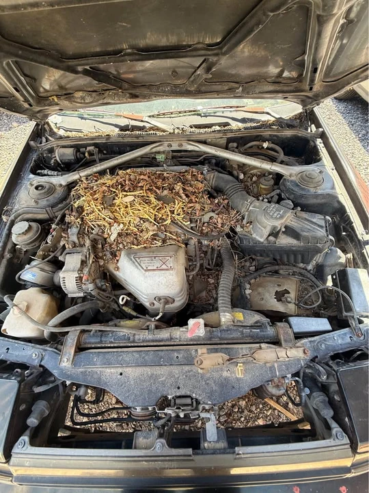 1997 Toyota Celica 6th Gen - Image 7 of 9