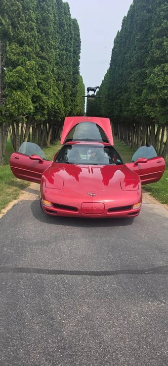1997 Chevrolet Corvette C5 - Image 7 of 7