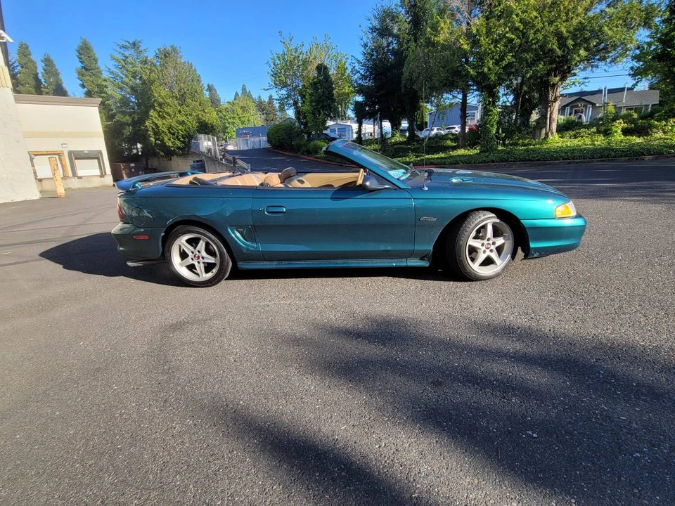 1997 Ford SN95 Mustang - Image 11 of 12