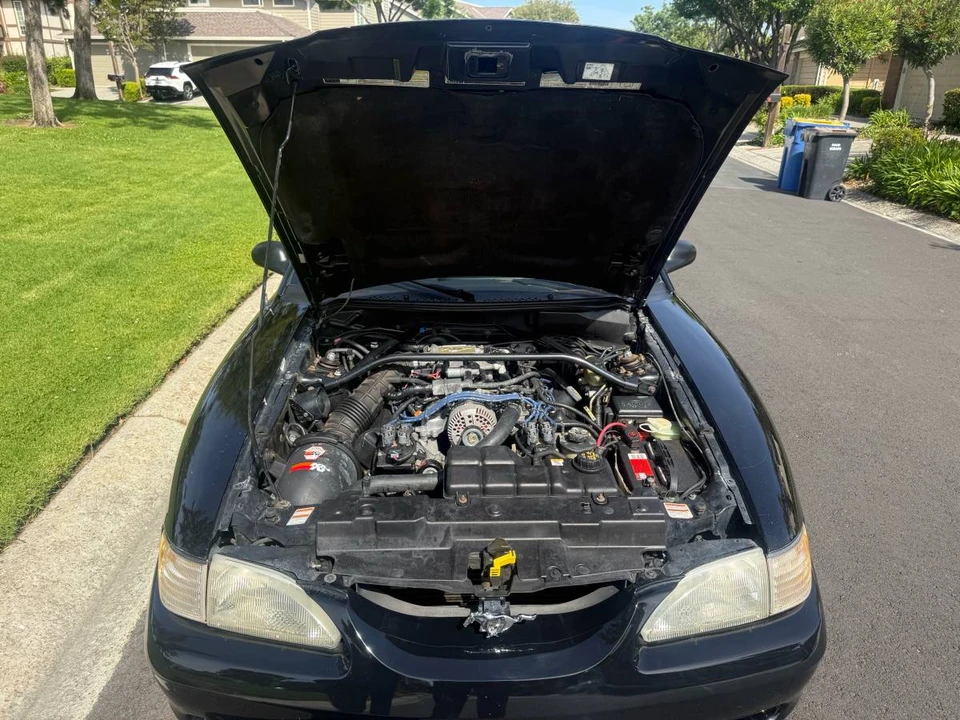 1997 Ford SN95 Mustang - Image 11 of 11