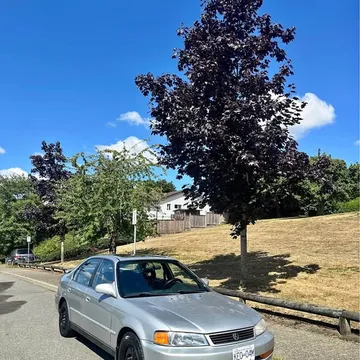 1998 Acura EL