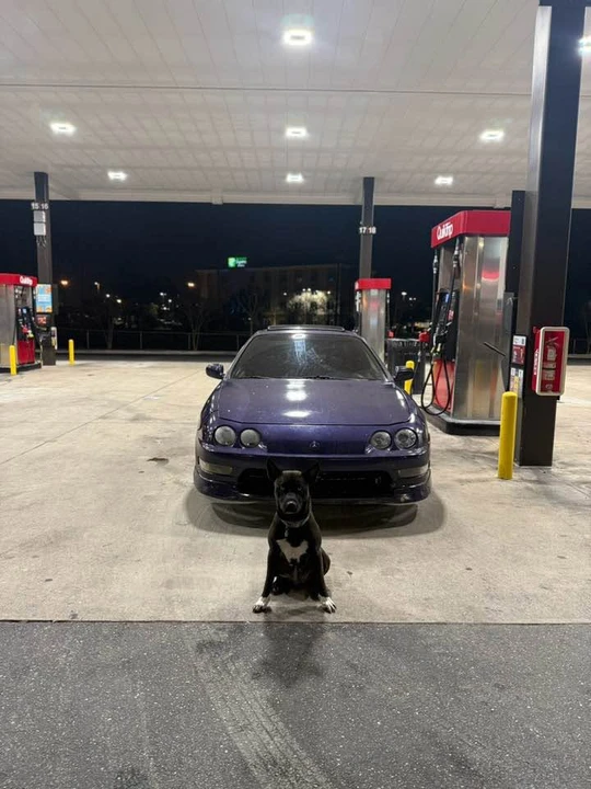 1998 Acura Integra 3rd Gen - Image 7 of 12