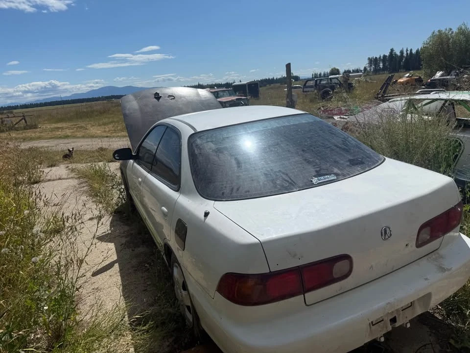 1998 Acura Integra 3rd Gen - Image 9 of 11