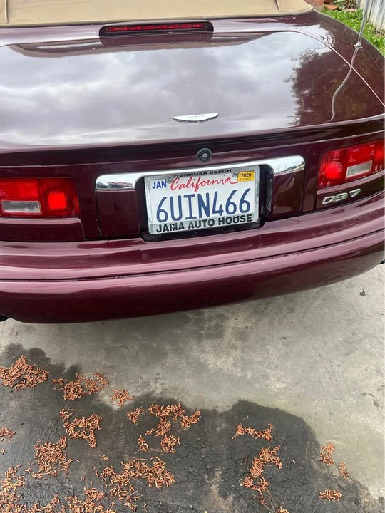 1998 Aston Martin DB7 - Image 8 of 16