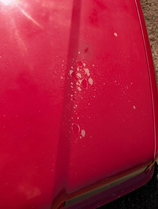 1998 BMW E36/5 3 Series Compact - Image 13 of 16