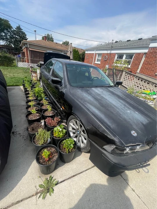 1998 BMW E39 540i - Image 11 of 12