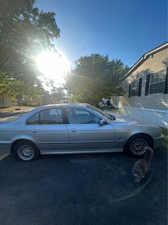 1998 BMW E39 5 Series - Image 2 of 10