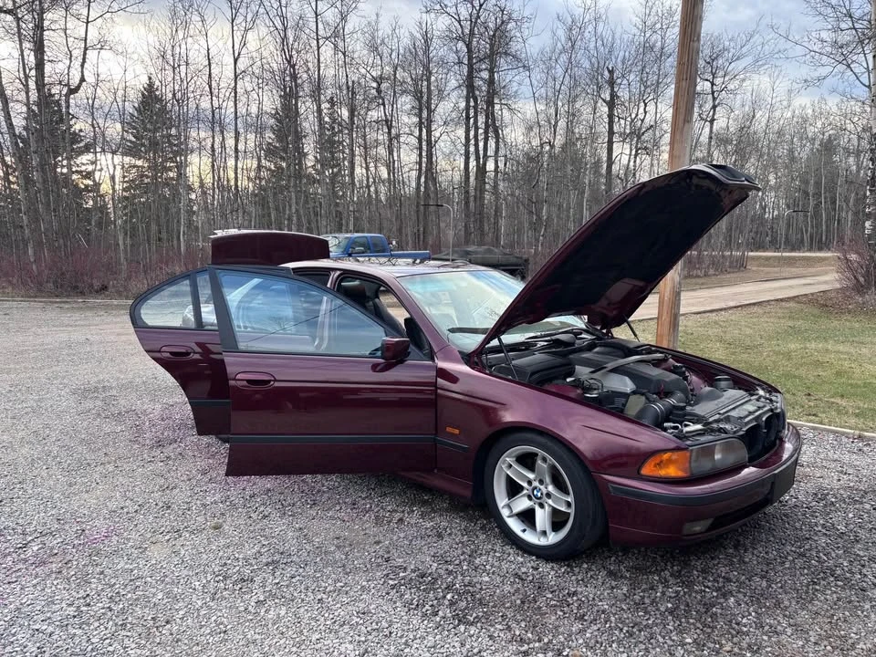 1998 BMW E39 540i - Image 15 of 15