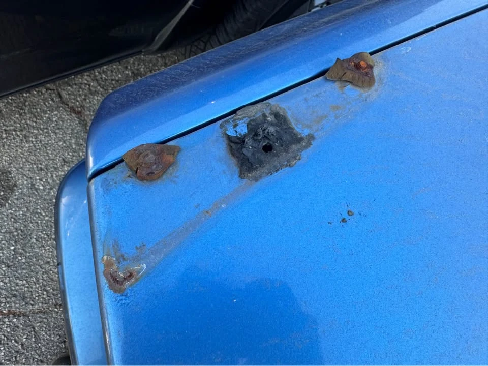 1998 BMW E36 M3 - Image 14 of 14