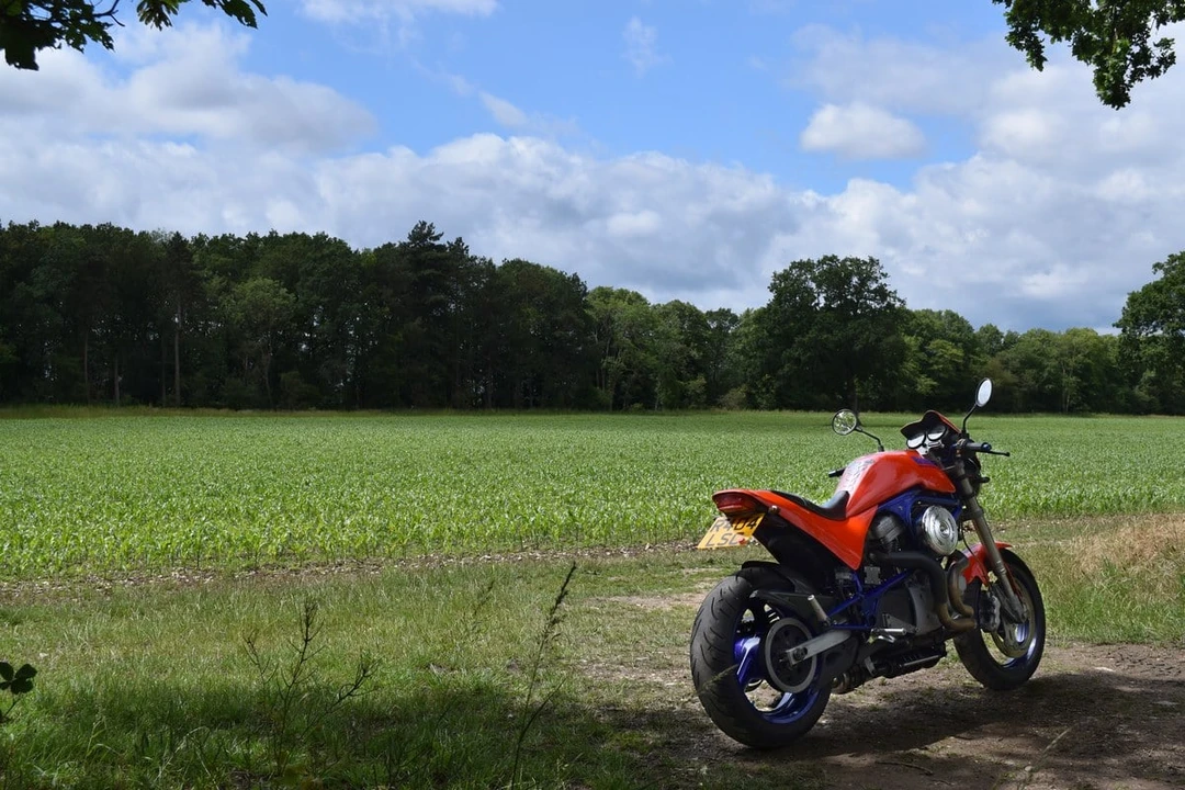 1998 Buell - Image 22 of 31