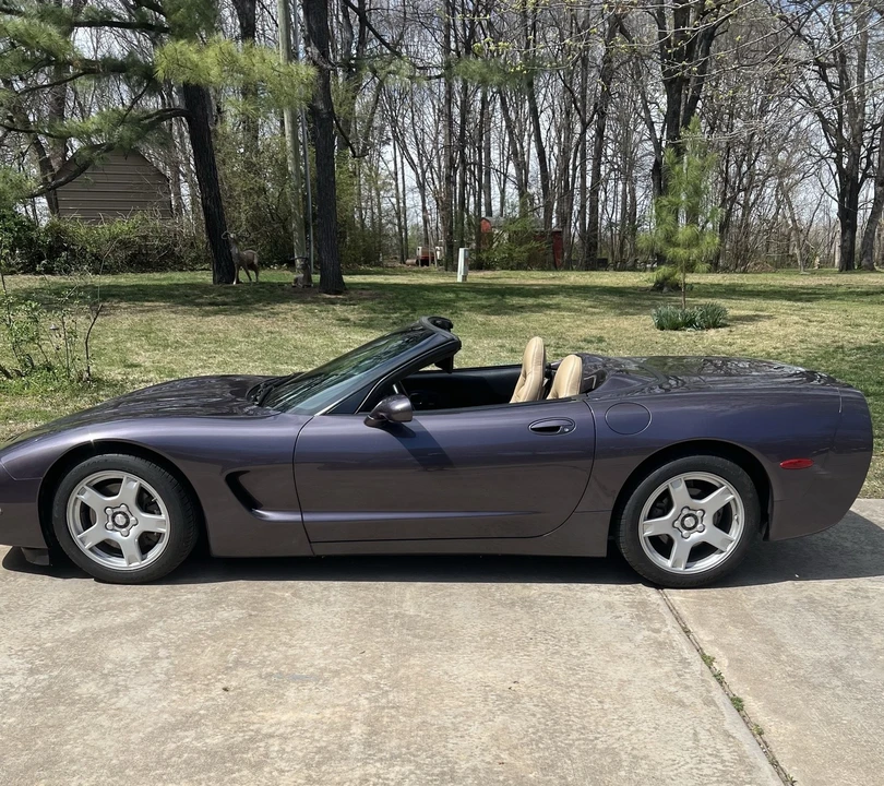 1998 Chevrolet Corvette C5 - Image 2 of 6