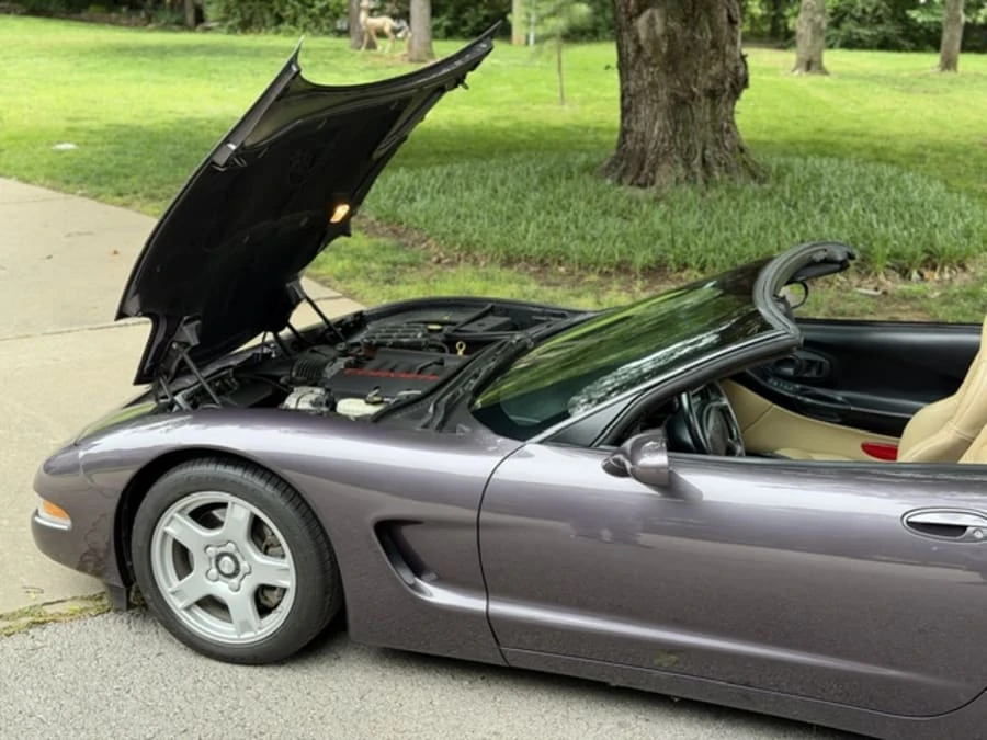 1998 Chevrolet Corvette C5 - Image 17 of 20
