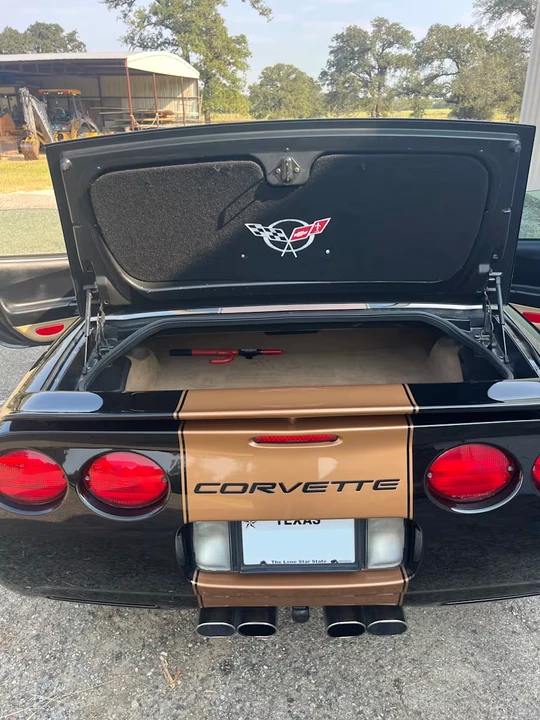 1998 Chevrolet Corvette C5 - Image 20 of 21