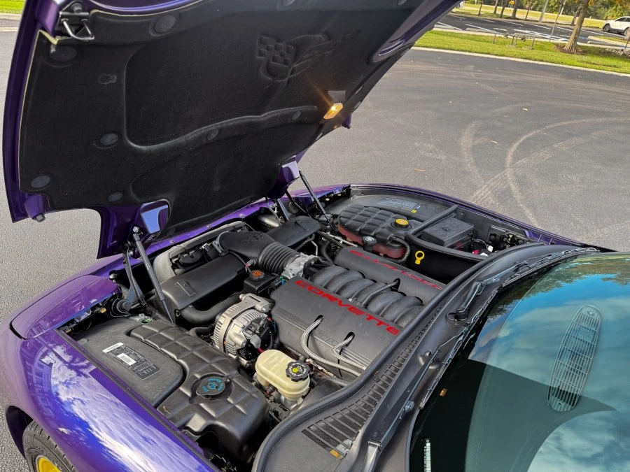 1998 Chevrolet Corvette C5 - Image 15 of 15