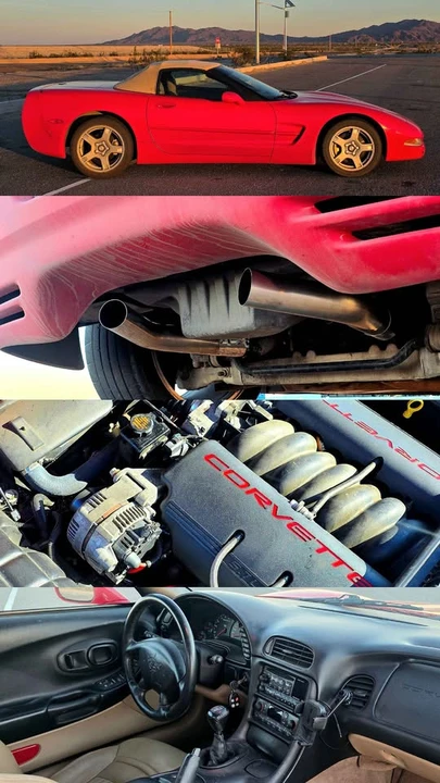 1998 Chevrolet Corvette C5 - Image 19 of 19
