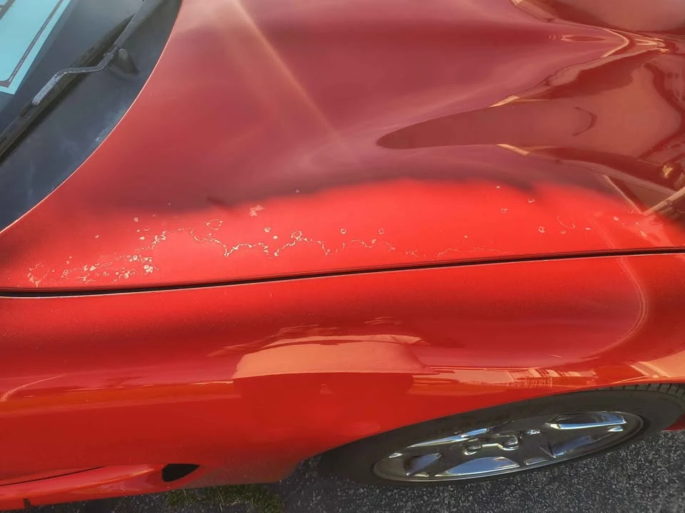 1998 Chevrolet Corvette C5 - Image 4 of 10