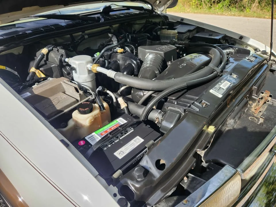 1998 Chevrolet S-10 - Image 19 of 19