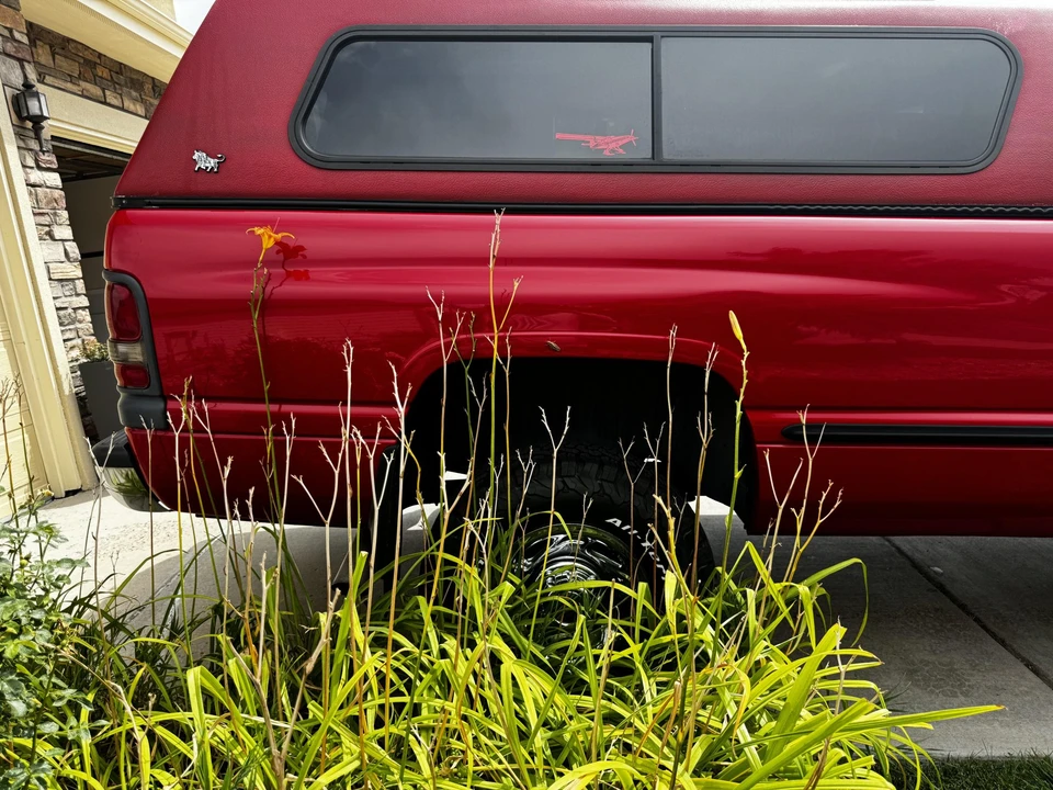 1998 Dodge Ram 2nd Gen - Image 19 of 31