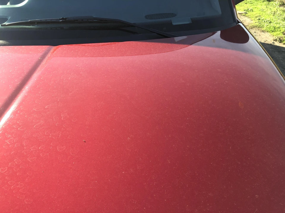 1998 Dodge Ram 2nd Gen - Image 31 of 31