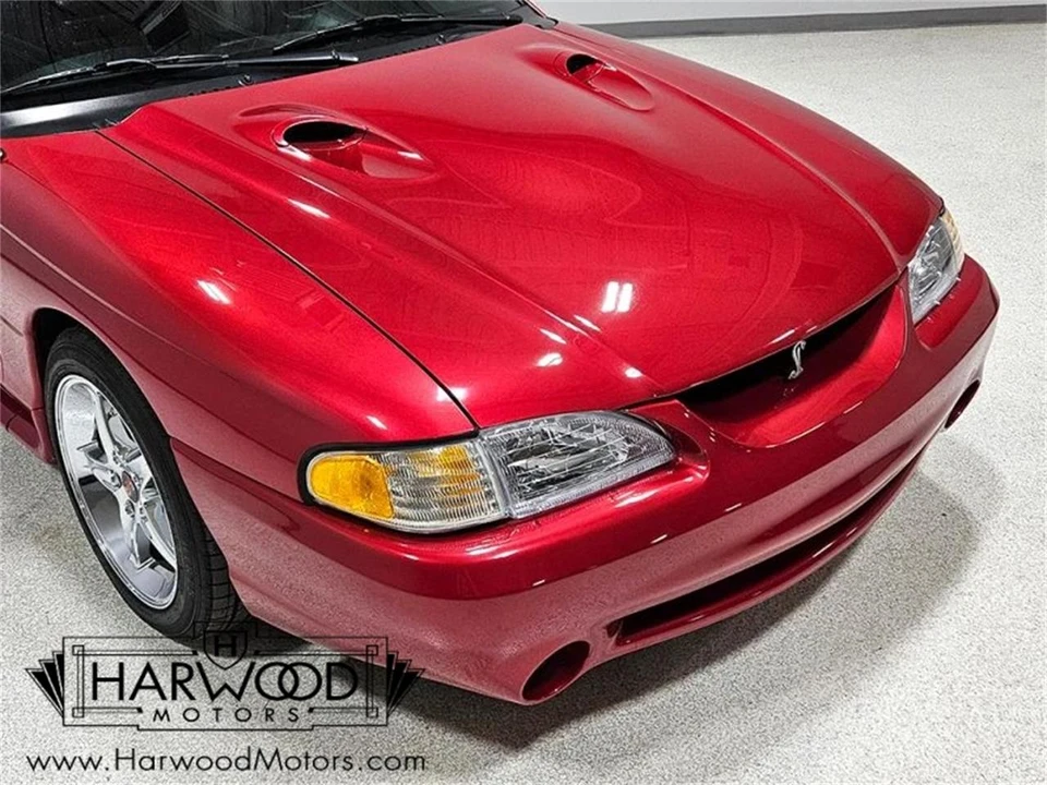 1998 Ford SN95 Mustang Cobra - Image 14 of 31