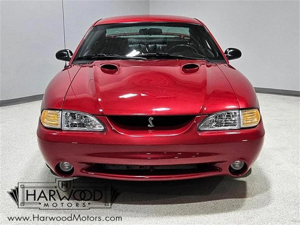 1998 Ford SN95 Mustang Cobra - Image 8 of 31