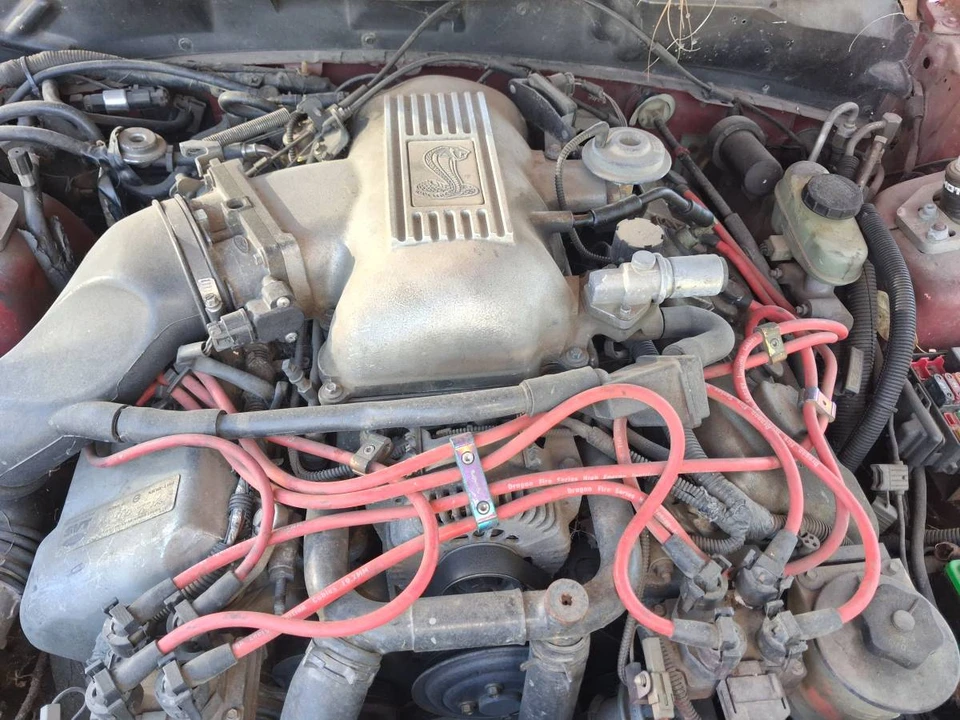 1998 Ford SN95 Mustang Cobra - Image 6 of 6