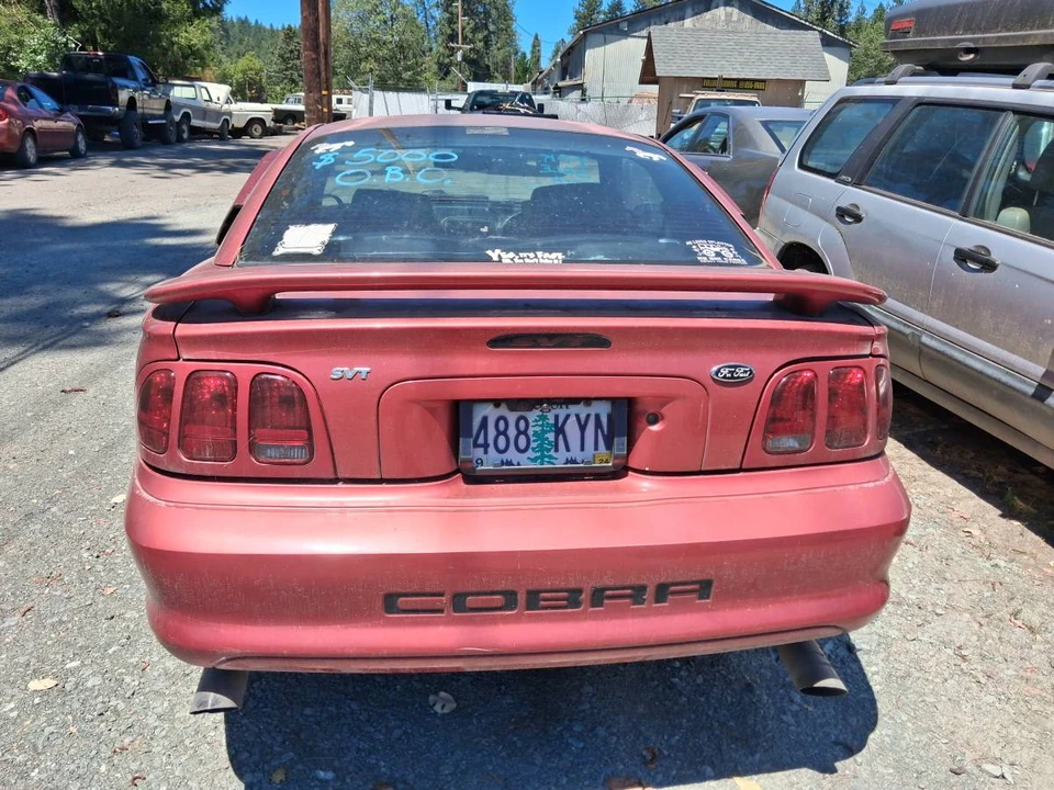 1998 Ford SN95 Mustang Cobra - Image 4 of 6