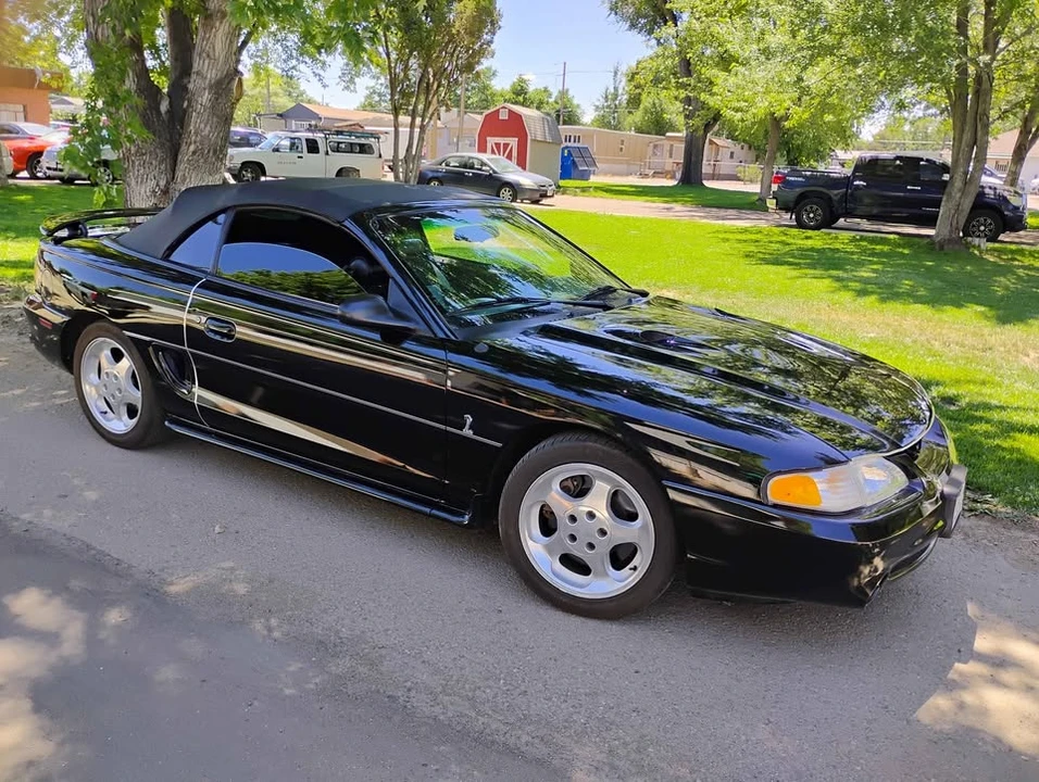 1998 Ford SN95 Mustang Cobra - Image 5 of 6