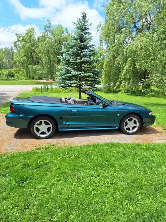 1998 Ford SN95 Mustang - Image 6 of 9