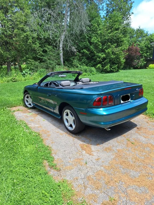 1998 Ford SN95 Mustang - Image 4 of 9