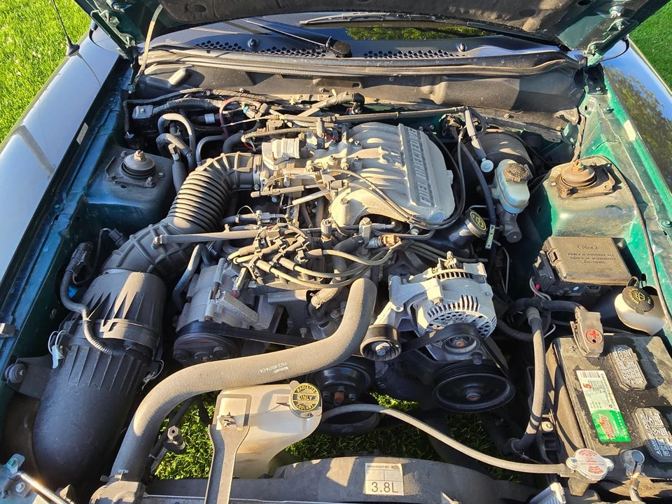 1998 Ford SN95 Mustang - Image 4 of 14
