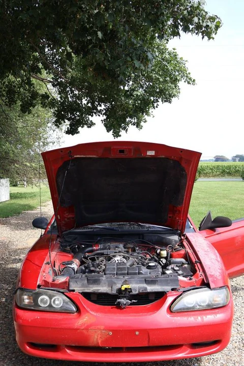 1998 Ford SN95 Mustang - Image 13 of 17