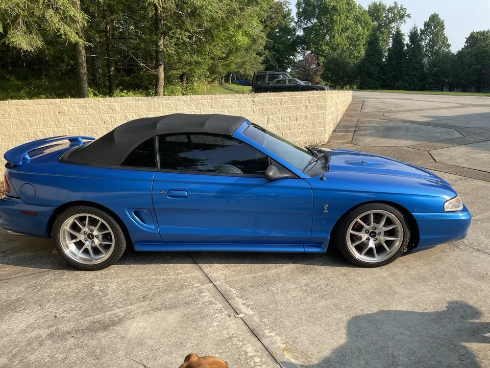 1998 Ford SN95 Mustang Cobra - Image 21 of 21