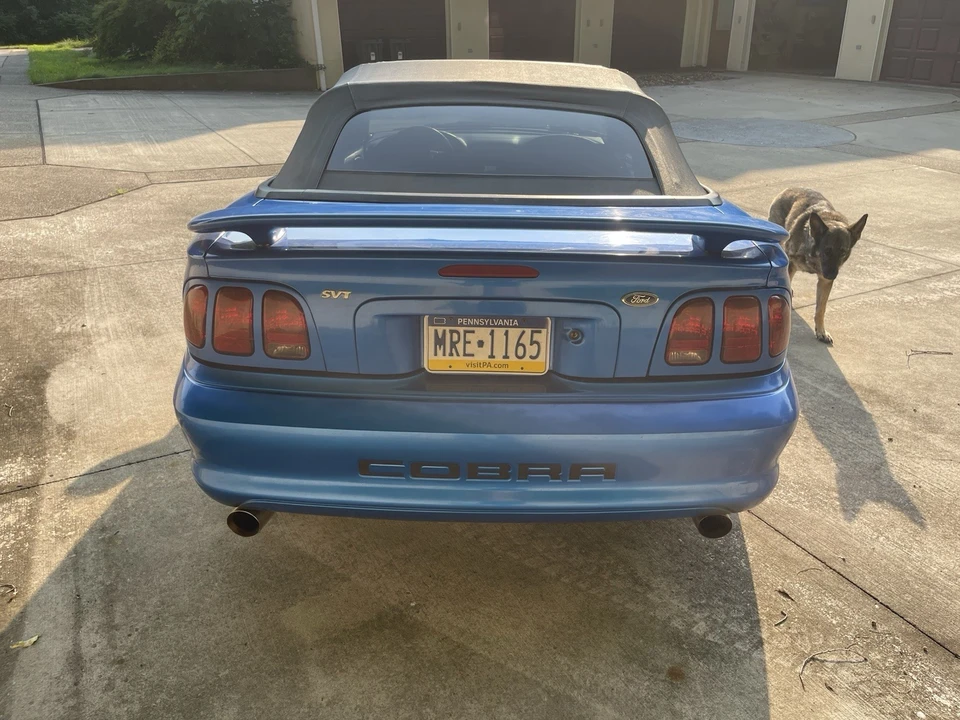 1998 Ford SN95 Mustang Cobra - Image 17 of 21