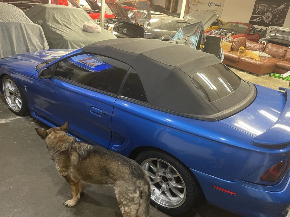 1998 Ford SN95 Mustang Cobra - Image 3 of 21