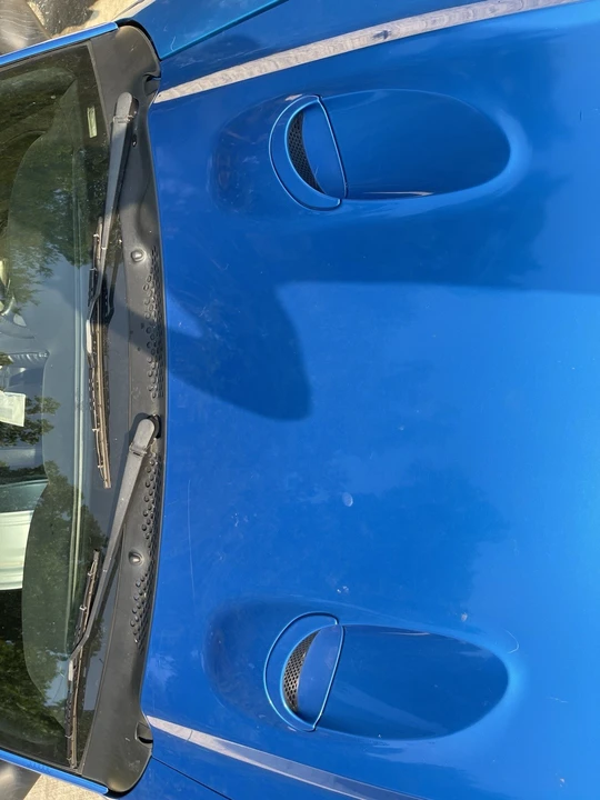1998 Ford SN95 Mustang Cobra - Image 20 of 21