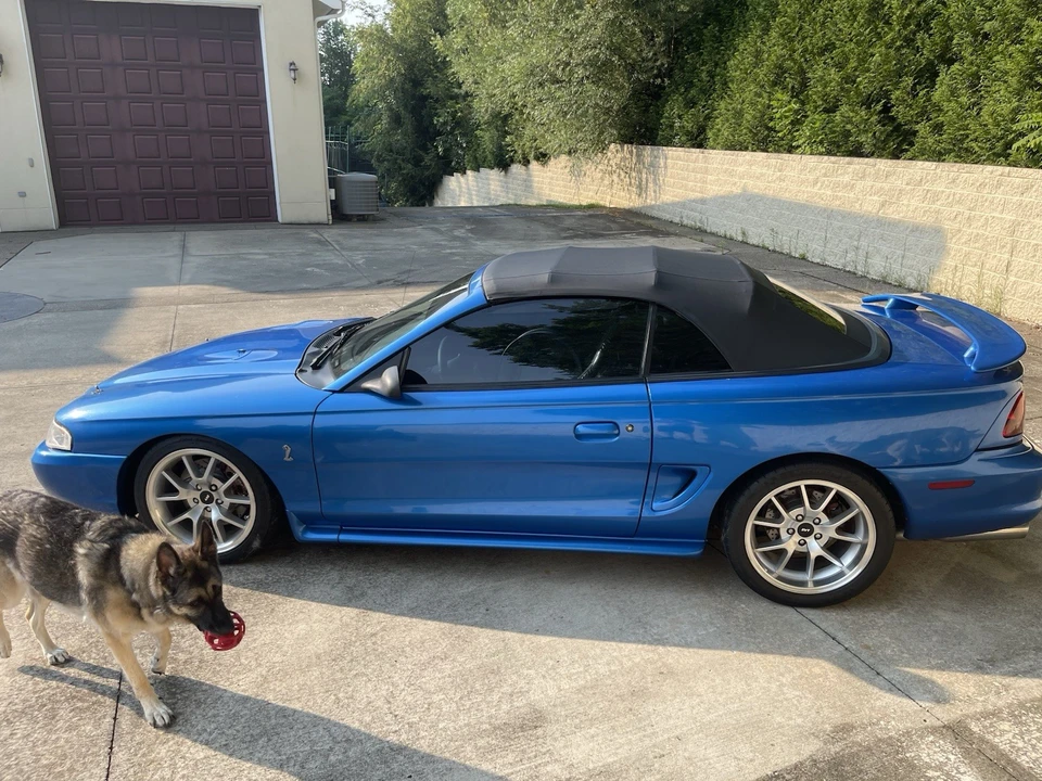 1998 Ford SN95 Mustang Cobra - Image 18 of 21
