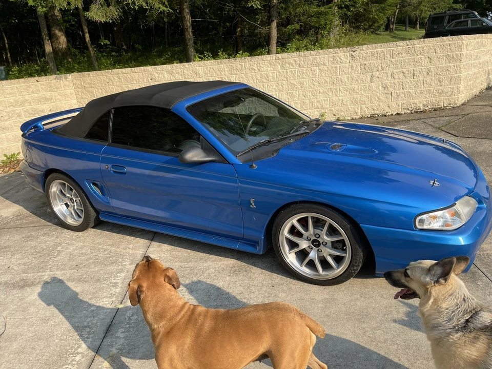 1998 Ford SN95 Mustang Cobra - Image 15 of 21