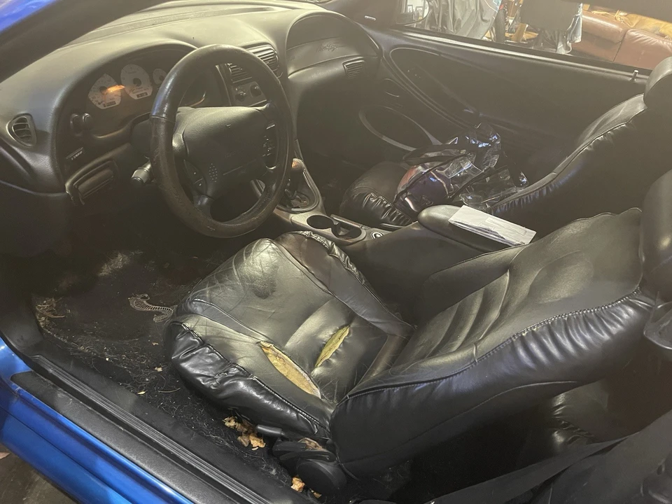 1998 Ford SN95 Mustang Cobra - Image 5 of 21