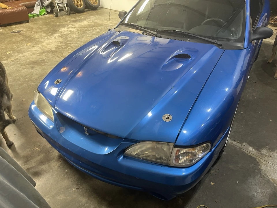 1998 Ford SN95 Mustang Cobra - Image 4 of 21