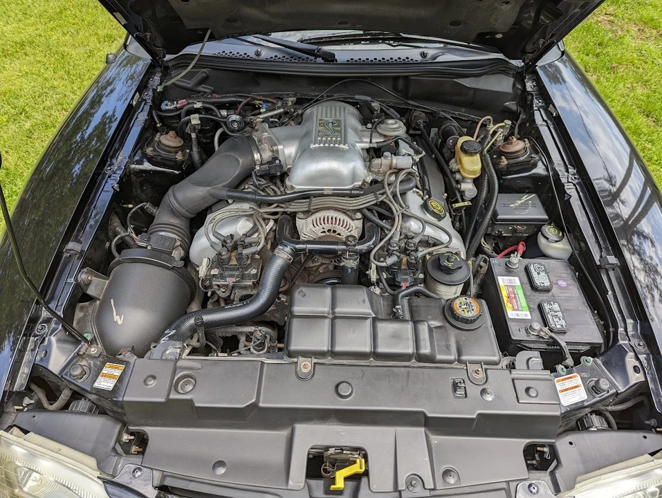 1998 Ford SN95 Mustang Cobra - Image 12 of 17