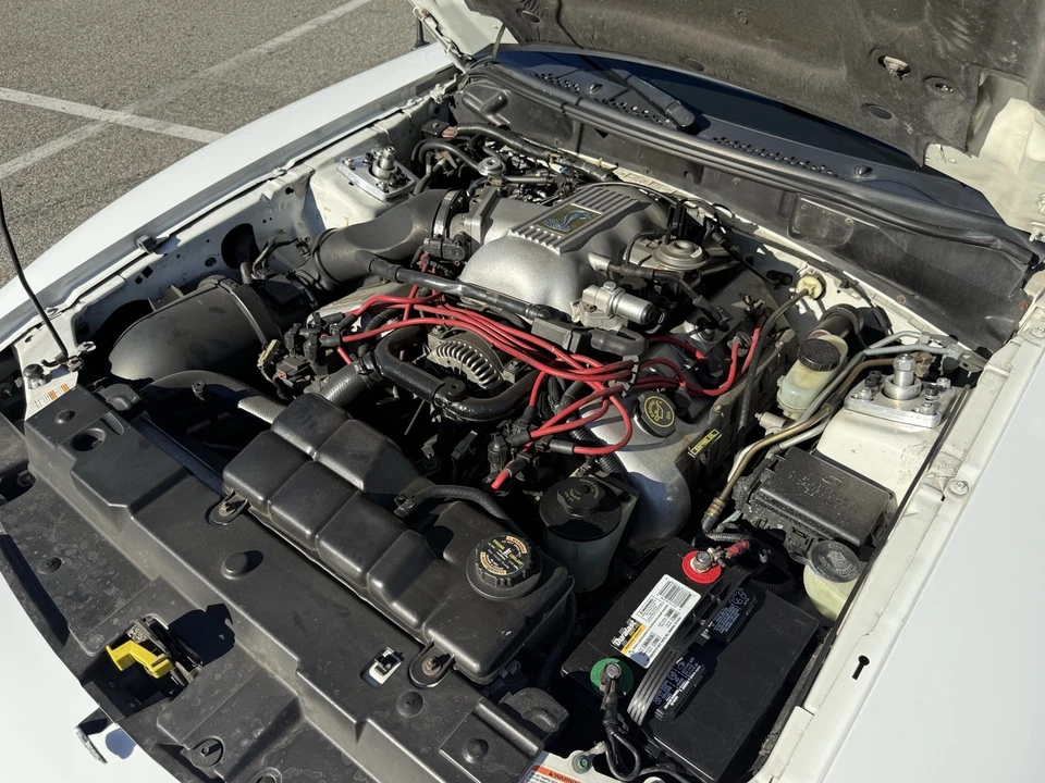 1998 Ford SN95 Mustang Cobra - Image 20 of 21